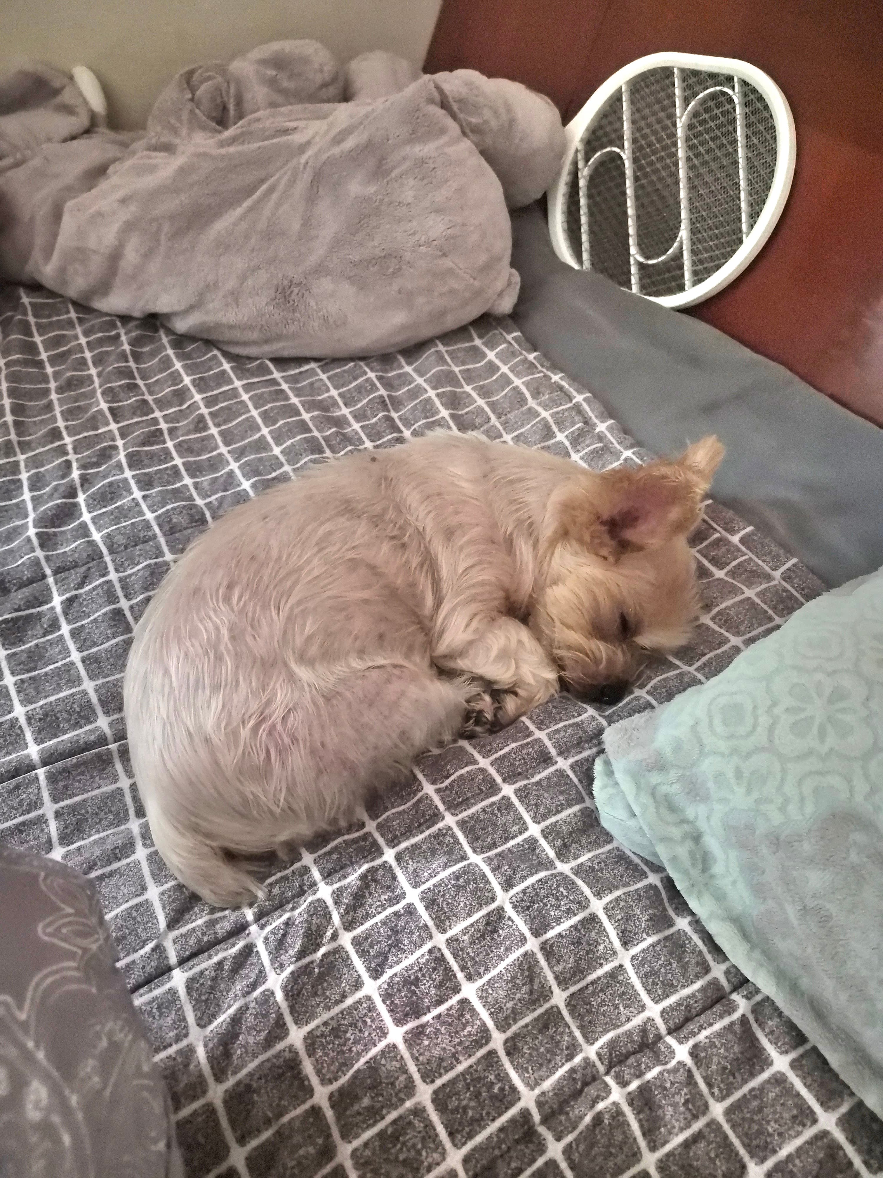 물똥