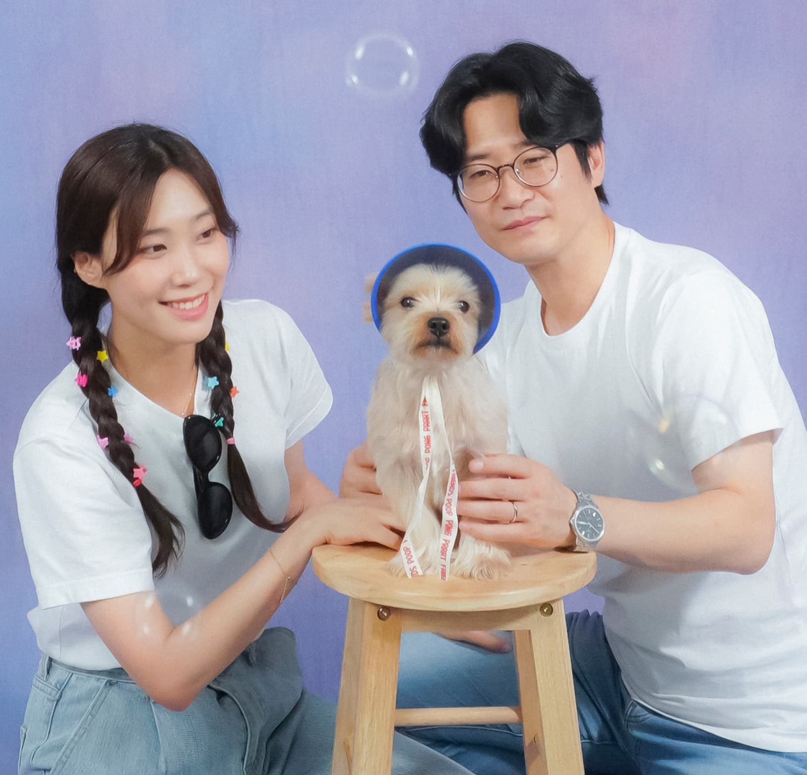 순돌이의 건강